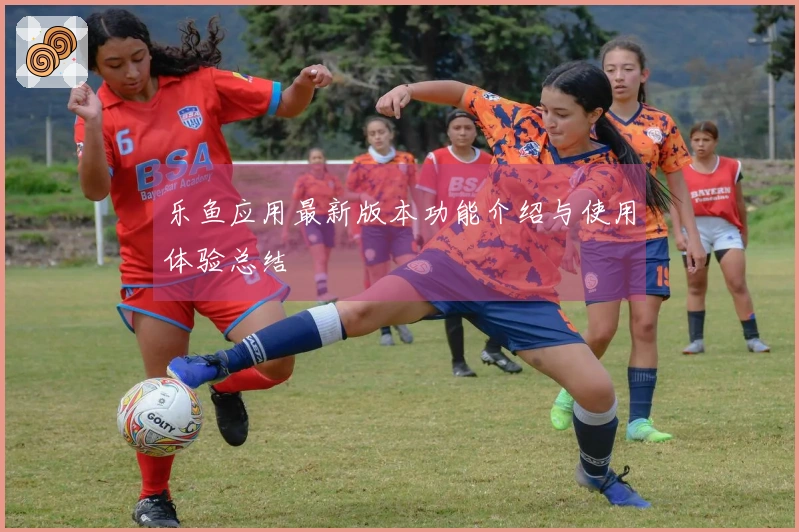 乐鱼应用最新版本功能介绍与使用体验总结