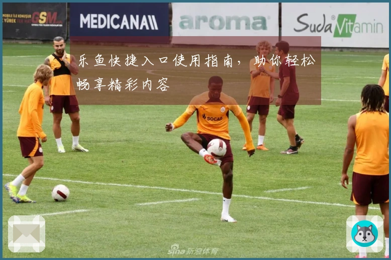 乐鱼快捷入口使用指南，助你轻松畅享精彩内容