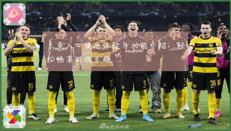 乐鱼入口使用体验与功能介绍，轻松畅享游戏乐趣