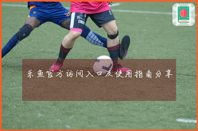 乐鱼官方访问入口及使用指南分享