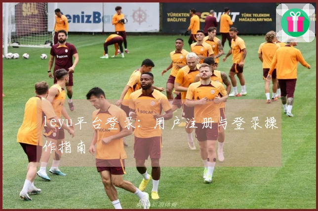 leyu平台登录：用户注册与登录操作指南