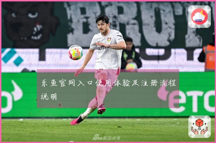 乐鱼官网入口使用体验及注册流程说明