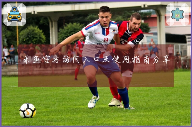 乐鱼官方访问入口及使用指南分享