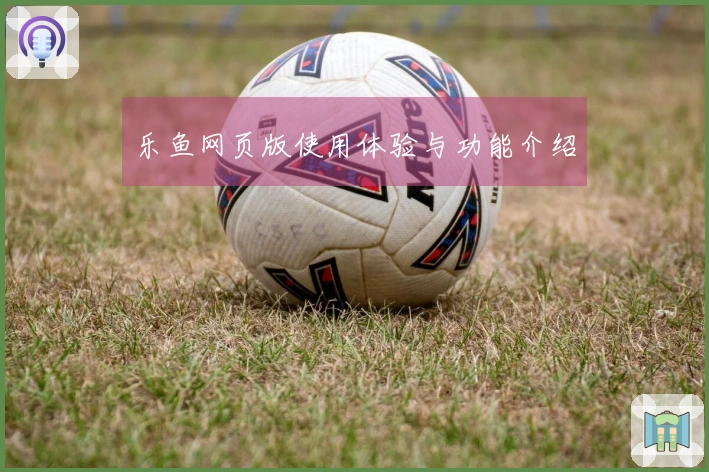 乐鱼网页版使用体验与功能介绍