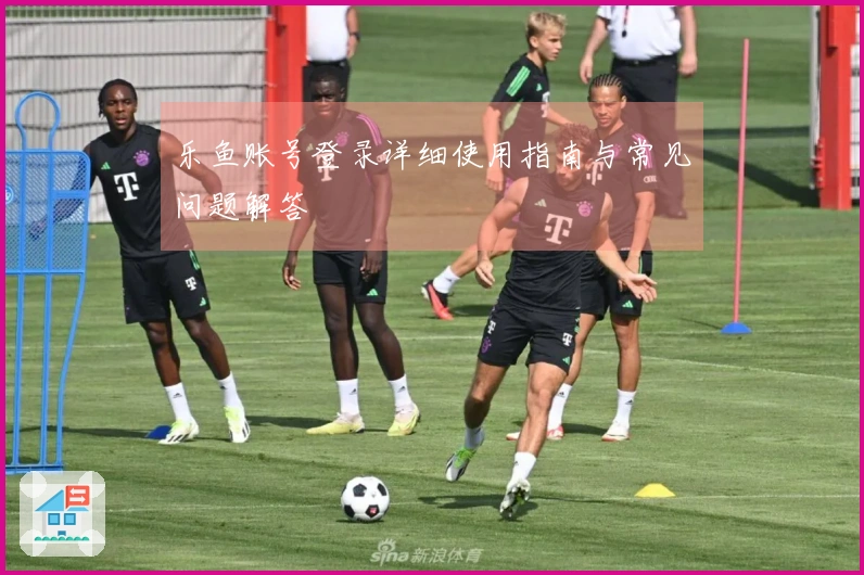 乐鱼账号登录详细使用指南与常见问题解答