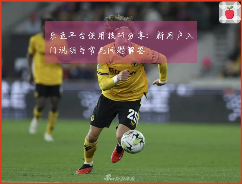 乐鱼平台使用技巧分享：新用户入门说明与常见问题解答